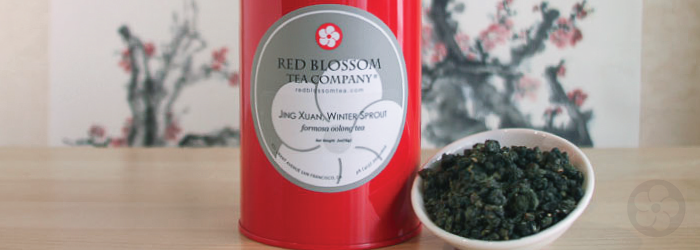jin xuan, winter sprout is a formosa oolong with naturally sweet flavor