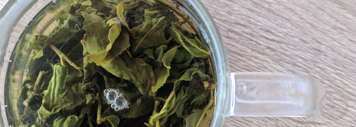 tea leaves left to steep for too long often become bitter