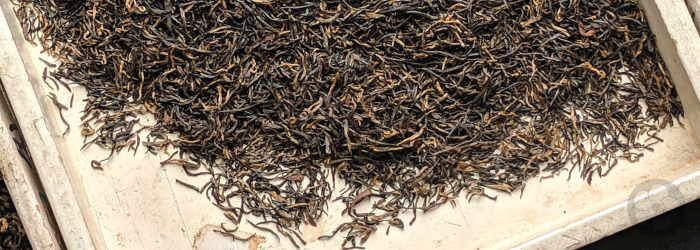 broken leaves are a middle grade of tea, with flavor depending on harvest date and terroir.