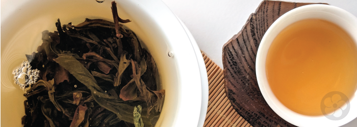 A white gaiwan clearly shows the brewing tea leaves, making it easy to tell when tea is ready.