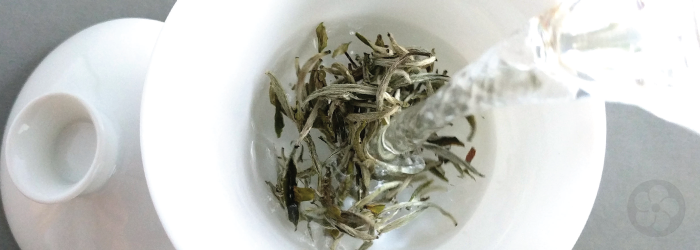 Delicate green and white teas are best brewed in a glazed gaiwan or glass teapot