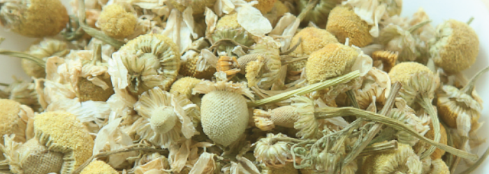 Chamomile is often recommended as a natural sleep aid