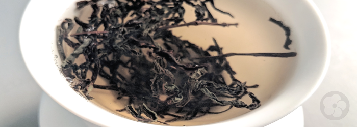 This twisted oolong from Guangdong is well known for its distinctive flavor profile
