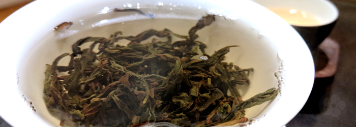 phoenix oolong teas are often bred for natural floral or fruity fragrances