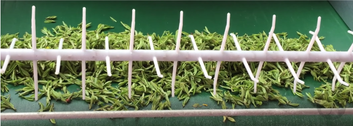 Machines designed specifically for crafting Dragonwell tea make the process more efficient and consistent.