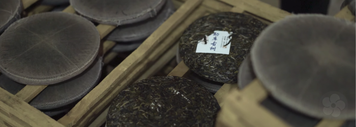 The storage environment of pu-erh tea has a huge impact on the finished flavor of the aged tea