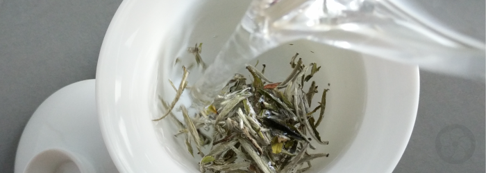 downy young buds of white tea swirl in a gaiwan as water is poured over them
