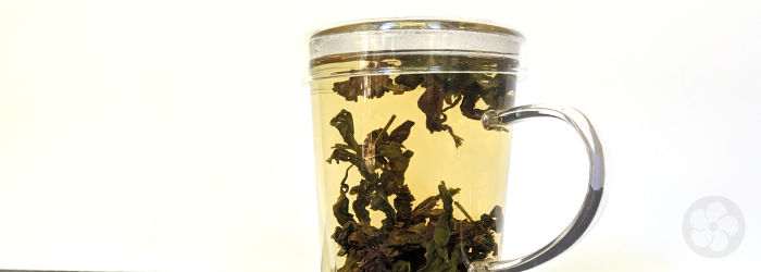 tea leaves in a glass infuser cup; tea naturally contains L-theanine, EGCG, and caffeine