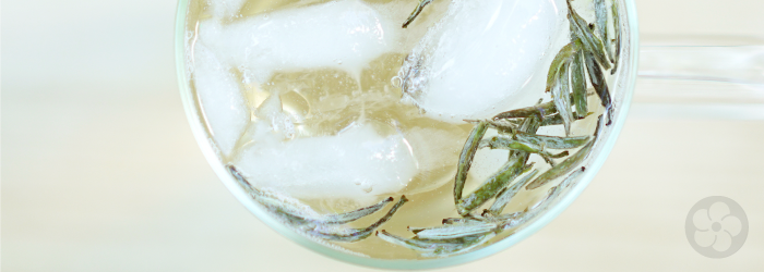 cold brew Silver Needle white tea leaves with ice in glass