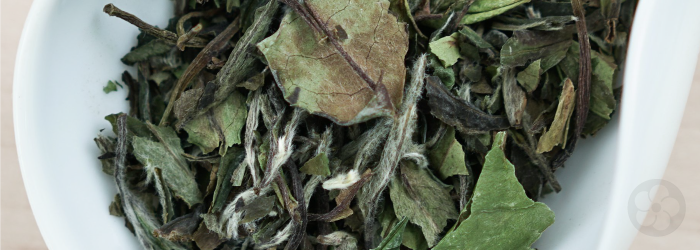 Bai Mu Dan white tea from Fuding County, Fujian consists of leaf buds as well as more mature spring leaves.