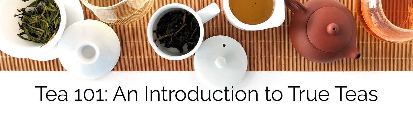 Tea 101: An Introduction to True Teas