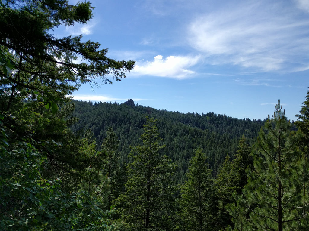 Stack Rock Idaho hike hiking boise bogus basin offline outdoors peak mountain