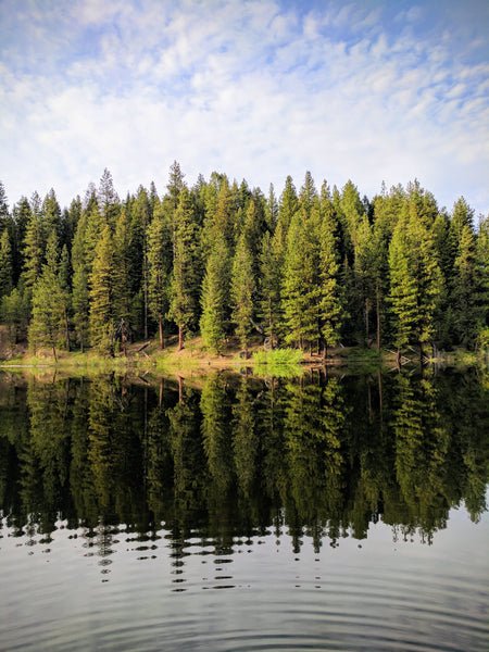 offline outdoors sage hen reservoir idaho boise national forest fishing google pixel 2 xl photography