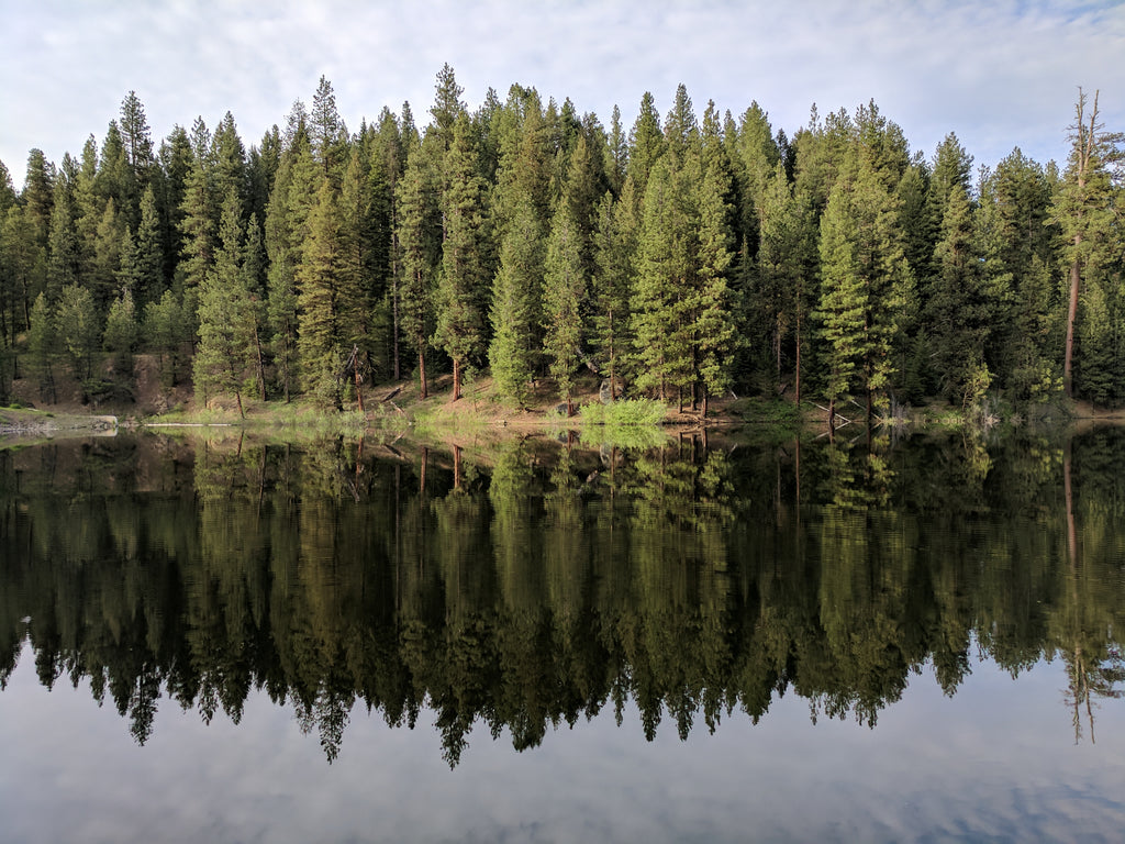 Sage Hen Reservoir Idaho treeline boise national forest