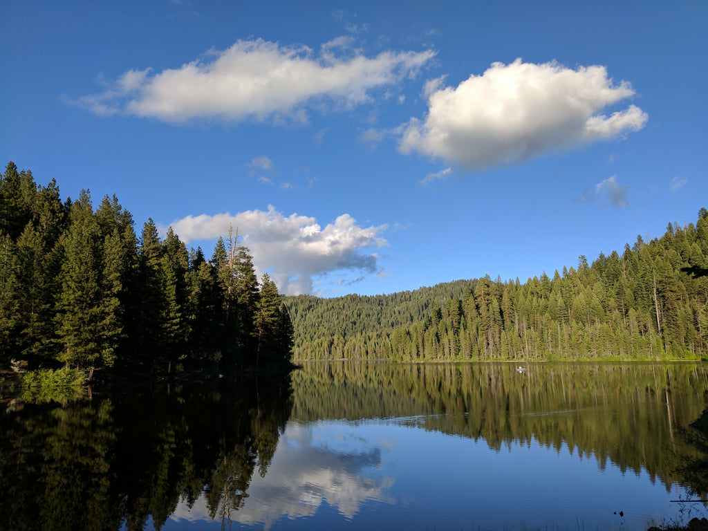 Sage Hen Reservoir Idaho Boise National Forest Google Pixel