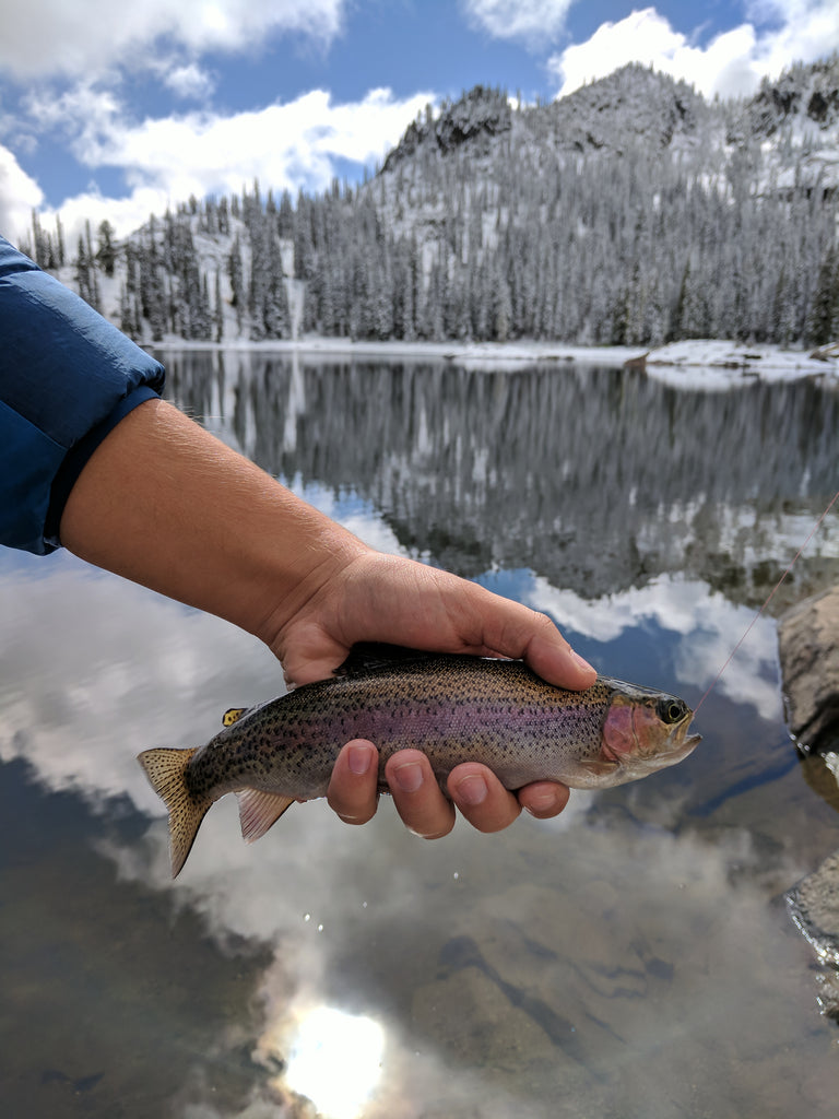 Blue Lake Idaho Boise National Forest hike rainbow trout fishing