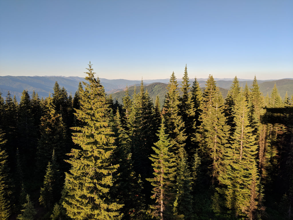 Lookout Butte Idaho fire lookout tower offline outdoors