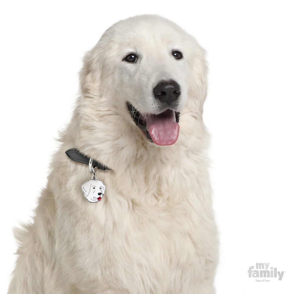 Friends Maremma Sheepdog Tag Charm