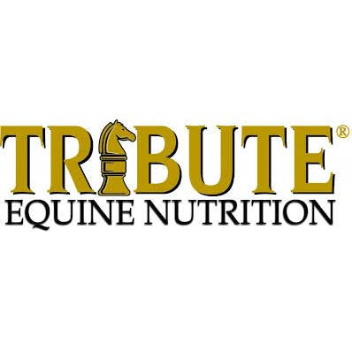 Ultra Horse Feed