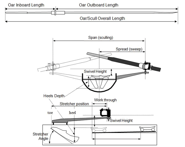 Rowing Oar Length Chart