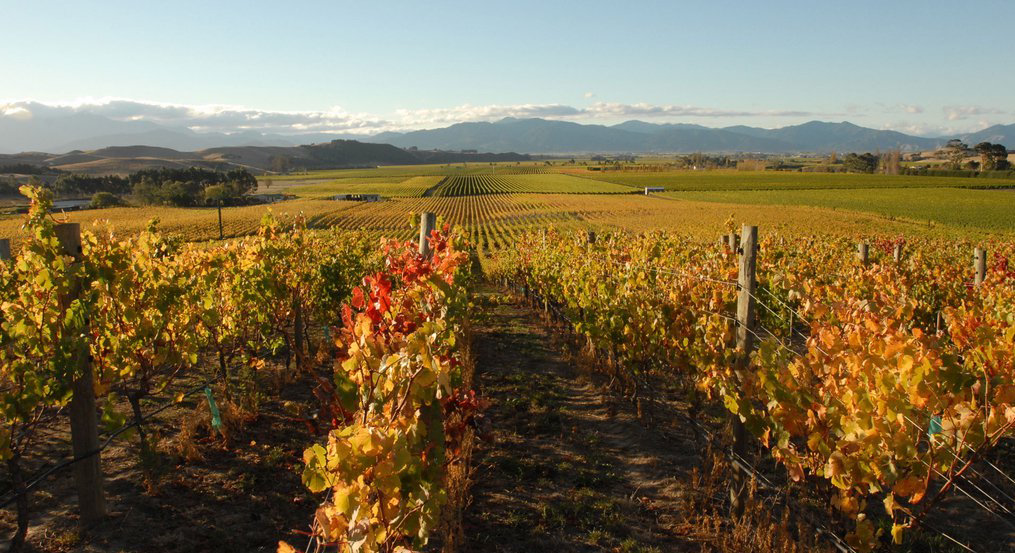 Our Home - Marlborough, New Zealand