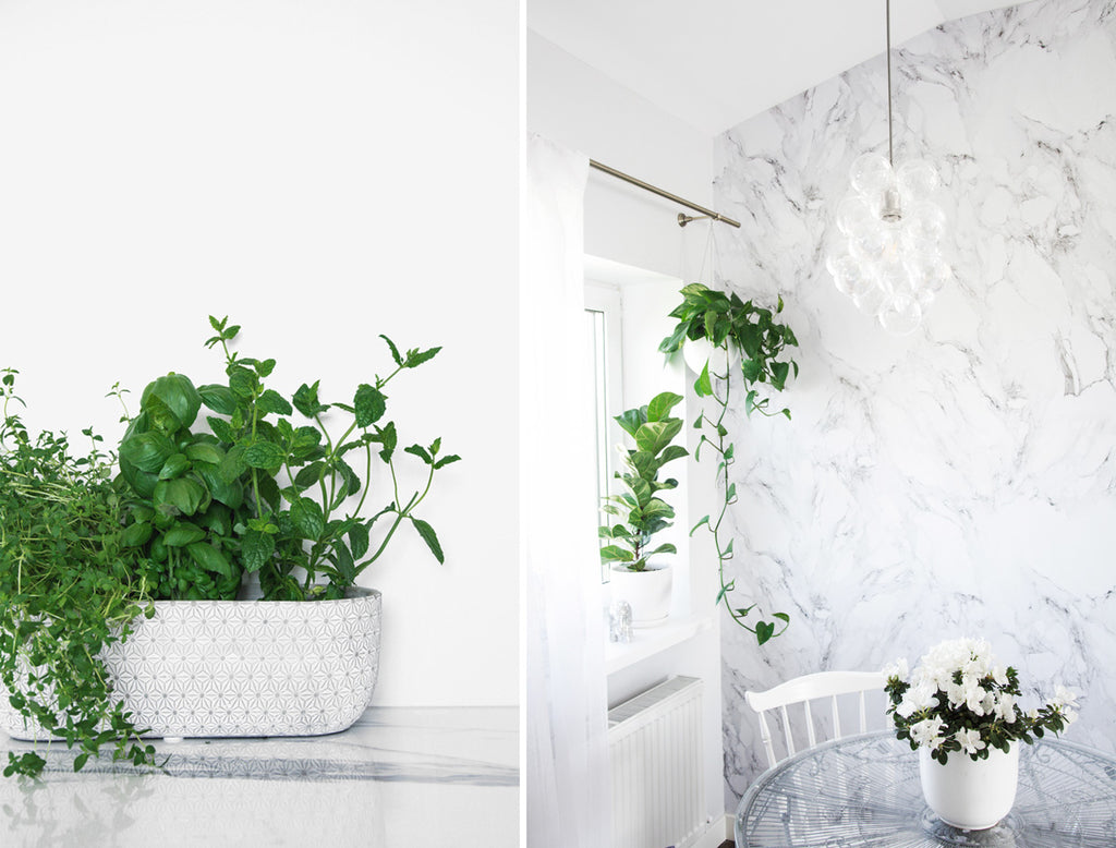 White marble kitchen interior with greenery and bubble chandelier