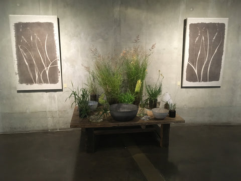 Silverprint artworks, printed with plants and the sun