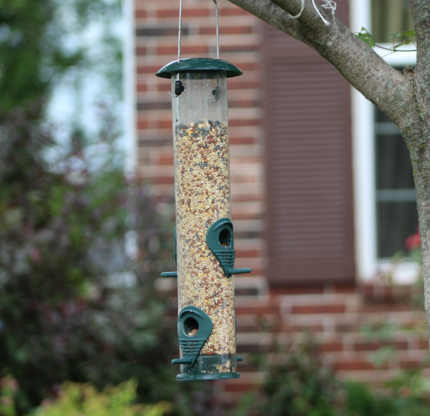 the range bird seed feeders