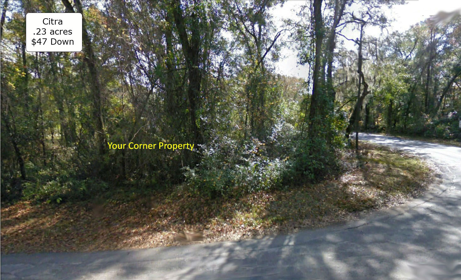 .23 Acre Unique Residential Side by Side Corner Lot at Citra