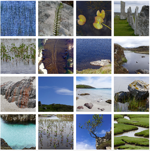 Images of Harris. Photographed by Niki Fulton