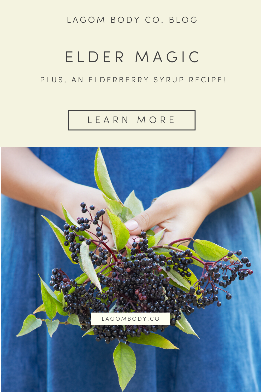 Elder Magic (Plus, an Elderberry Syrup Recipe) by Lagom Body Co. Pinterest Promo
