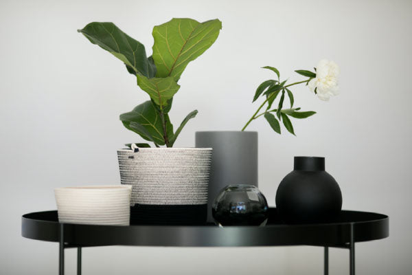 Mia Melange baskets and planters in black and white styled on a side table. Mia Melange products available at Sarza home goods and furniture store in Rye New York. 