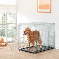 dog crates