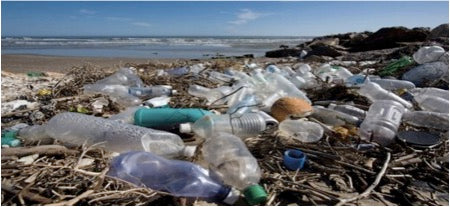 plastic bottle pollution 