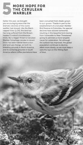 Birdlife Magazine