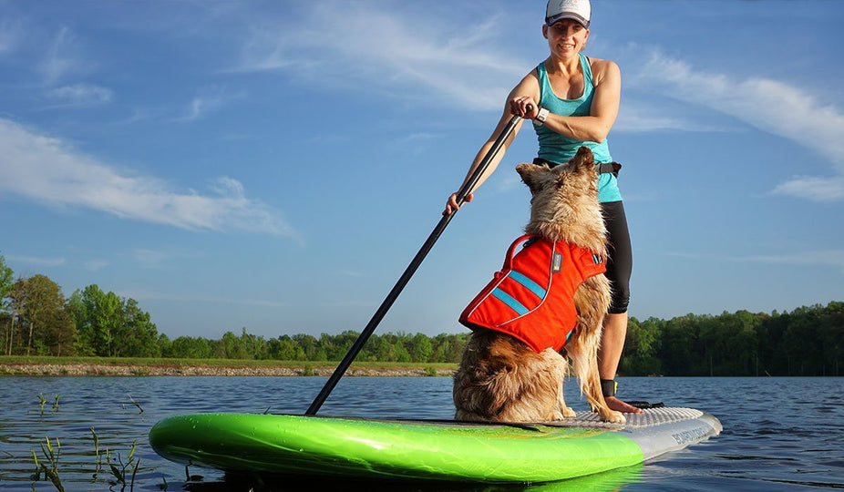 How To SUP With Your PUP: Getting Your PUP Back On The SUP