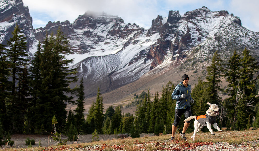 Dog in climate changer pullover runs ahead of man in front of Broken Top.