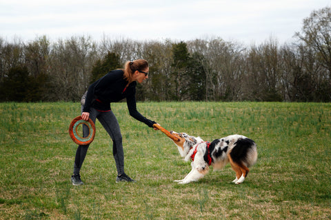 Maria plays tug with her dog using Ruffwear hydro planes dog frisbees.