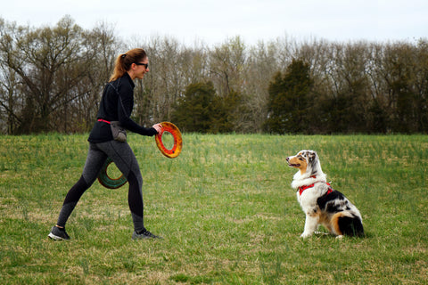 Maria plays with her dog using two Ruffwear Hydro Plane dog toys.