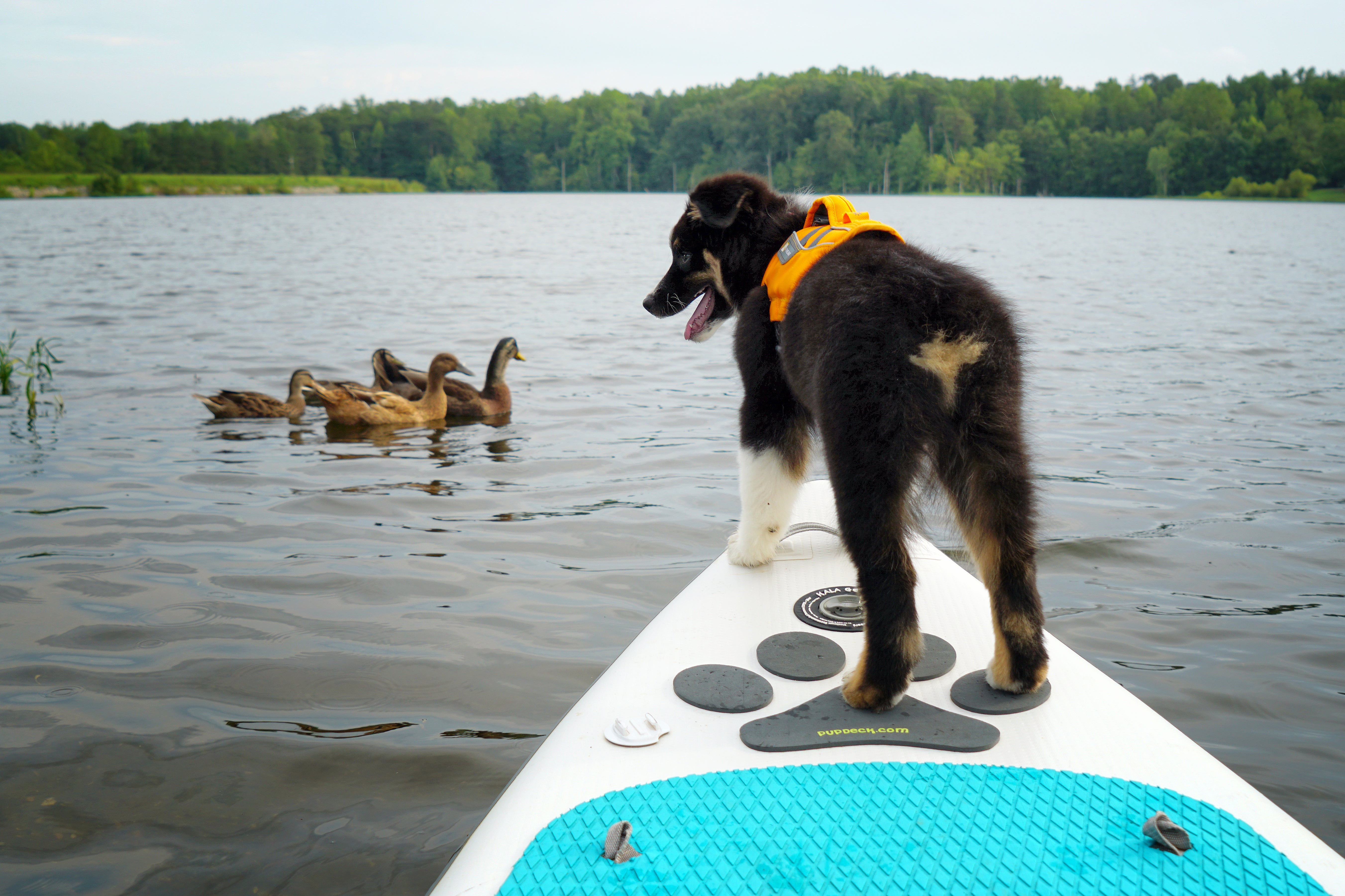 Willow stands on front of paddleboard wearing Float Coat.