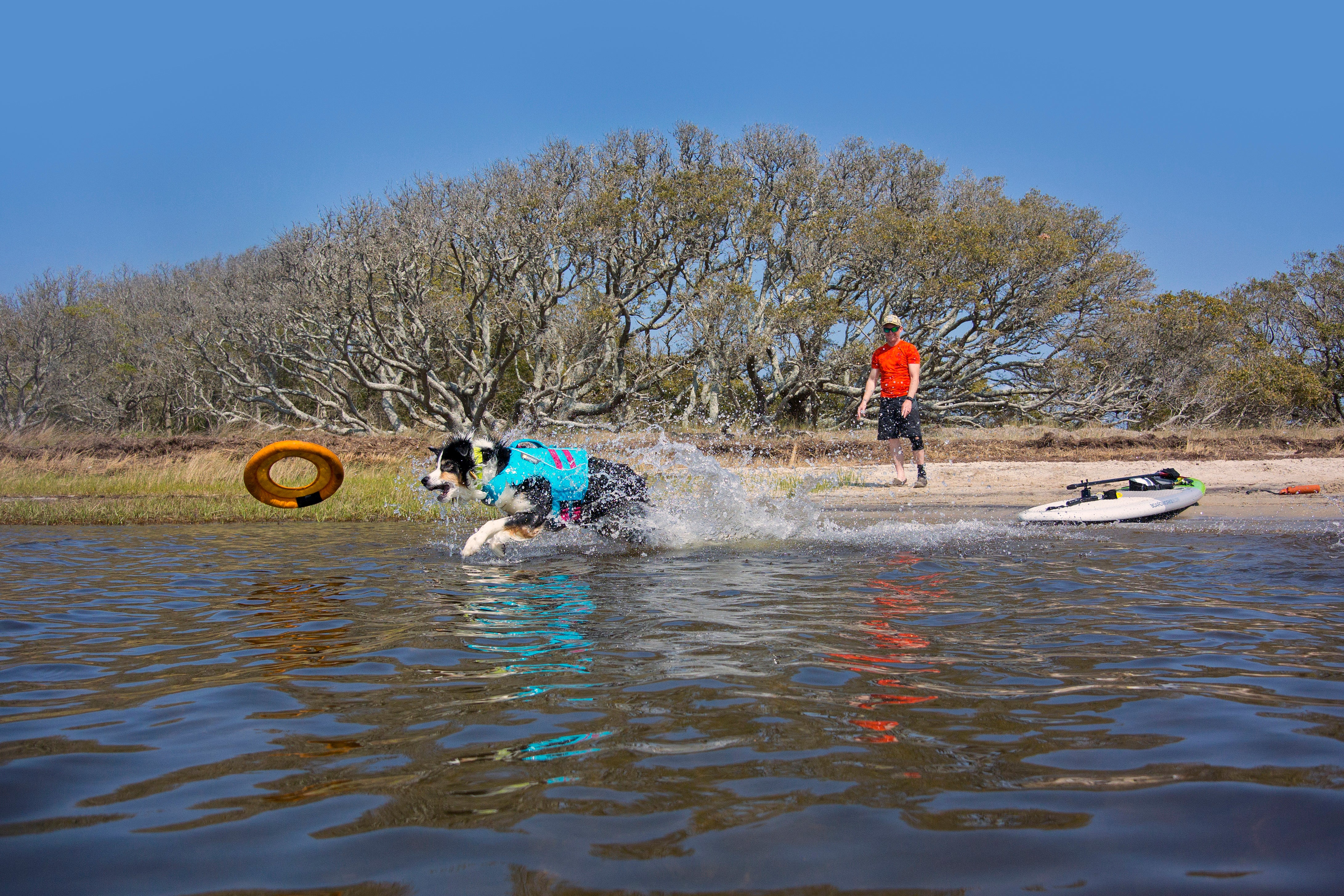 Willow runs through the river to catch hydro plane.