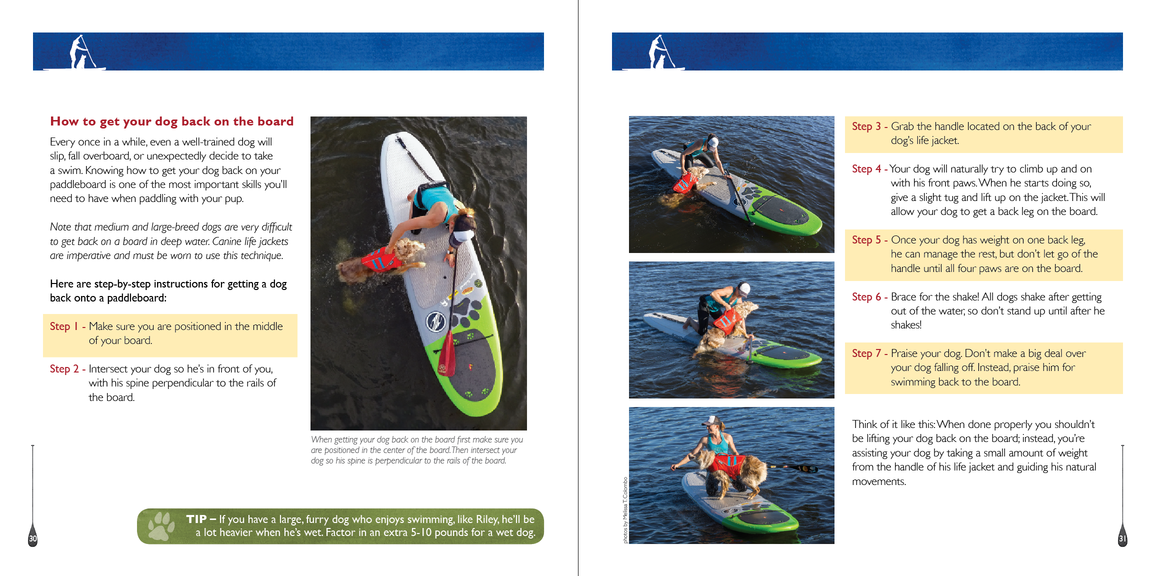 Instruction sheet to print for how to get dog up on SUP.