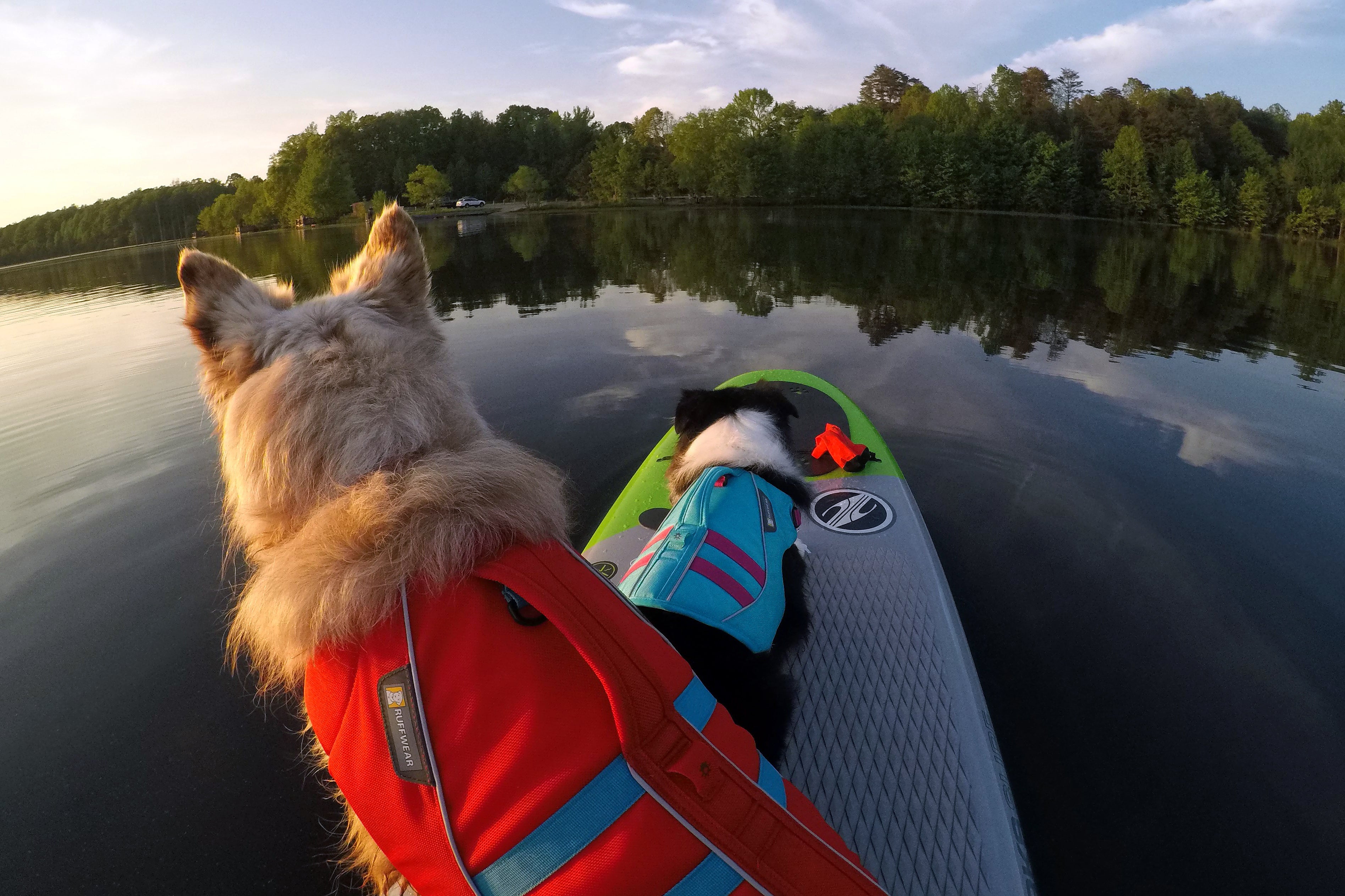 Willow and Bodie in float coats lay on front of SUP.