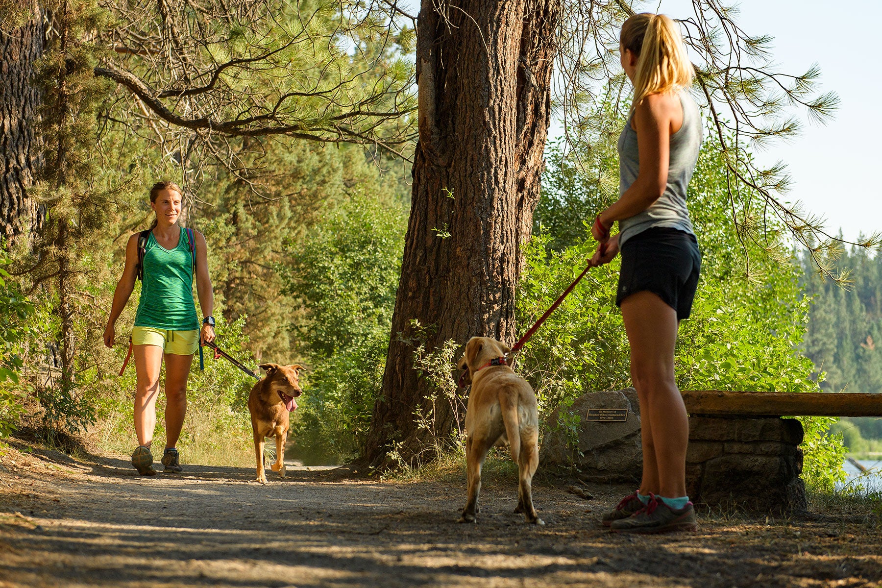 Two women with dogs using Ruffwear leashes greet each other on trail in Bend oregon.