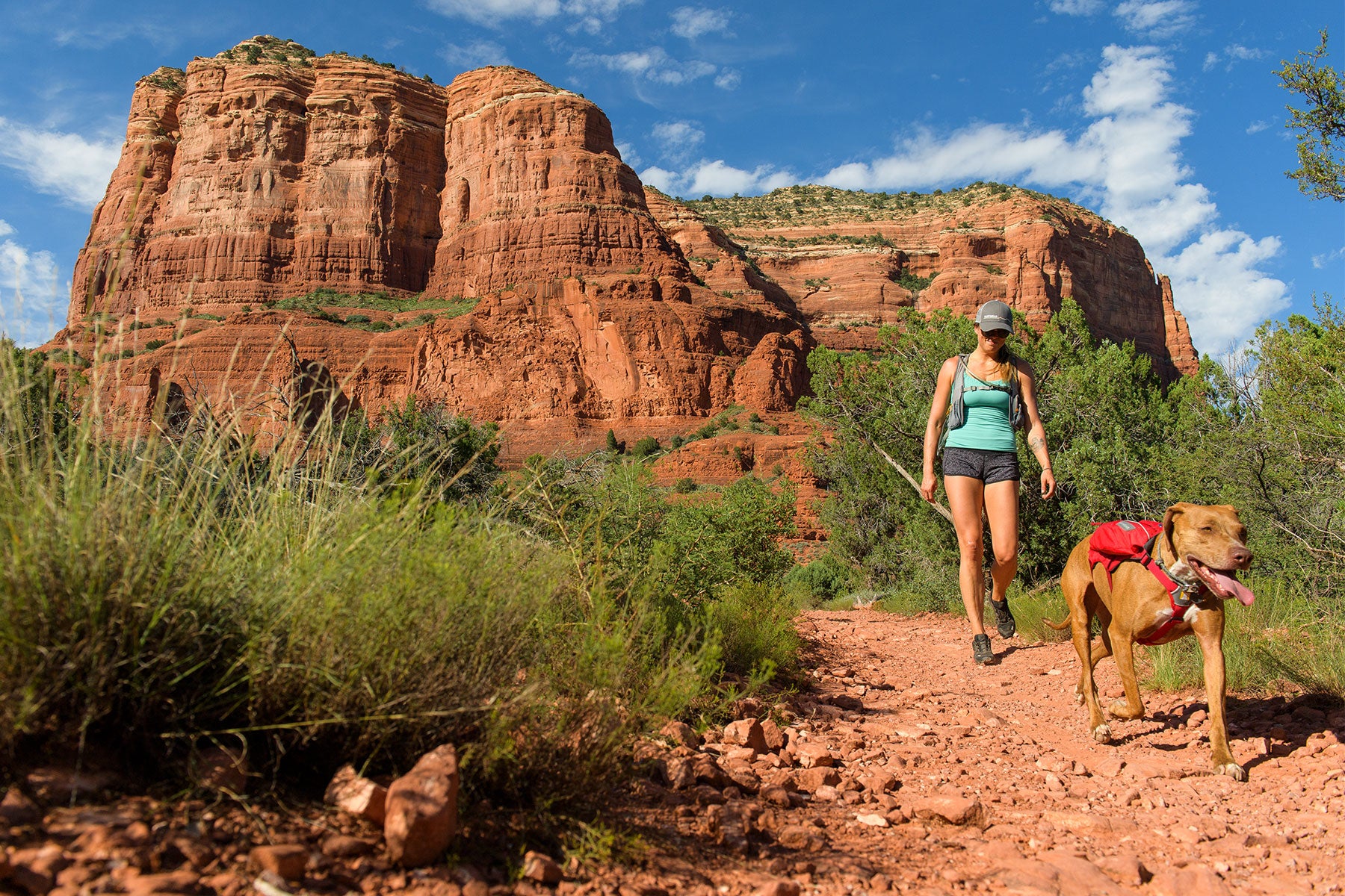 Dog in singletrak hydration pack hikes along trail with human in red rock of Arizona.