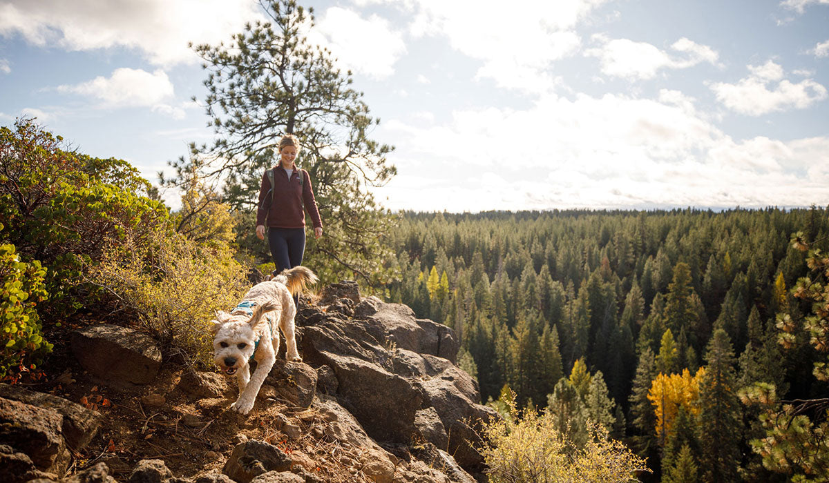 Dog Marv scrambling across rocks with human Mary following behind on a hike.