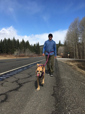 Man walks dog on roamer leash along road.