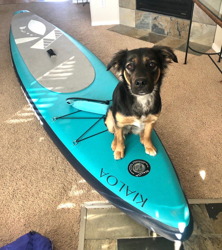 Lennon practices sitting on a paddleboard in the living room.