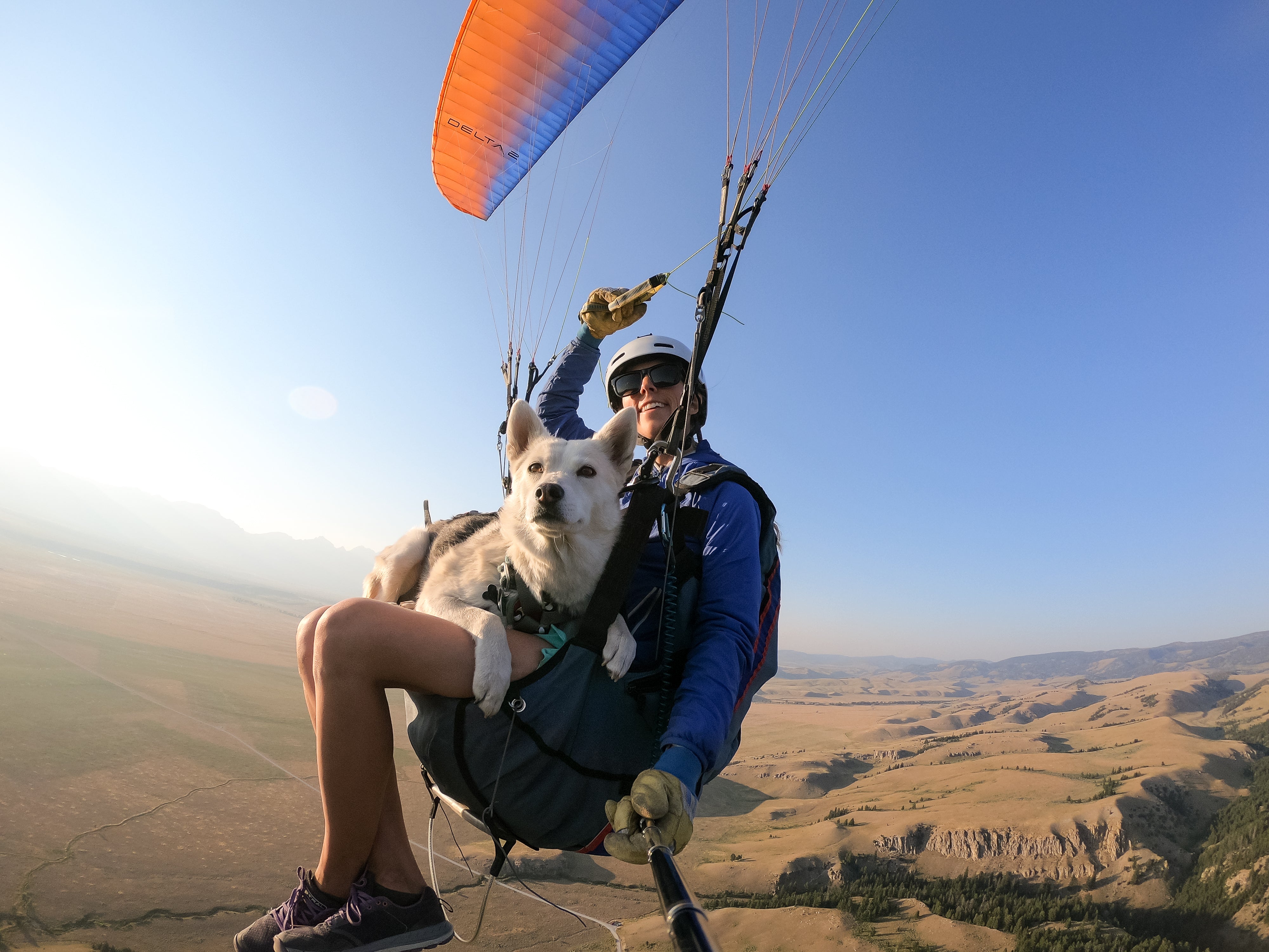 Becca paraglides with her dog Tala.