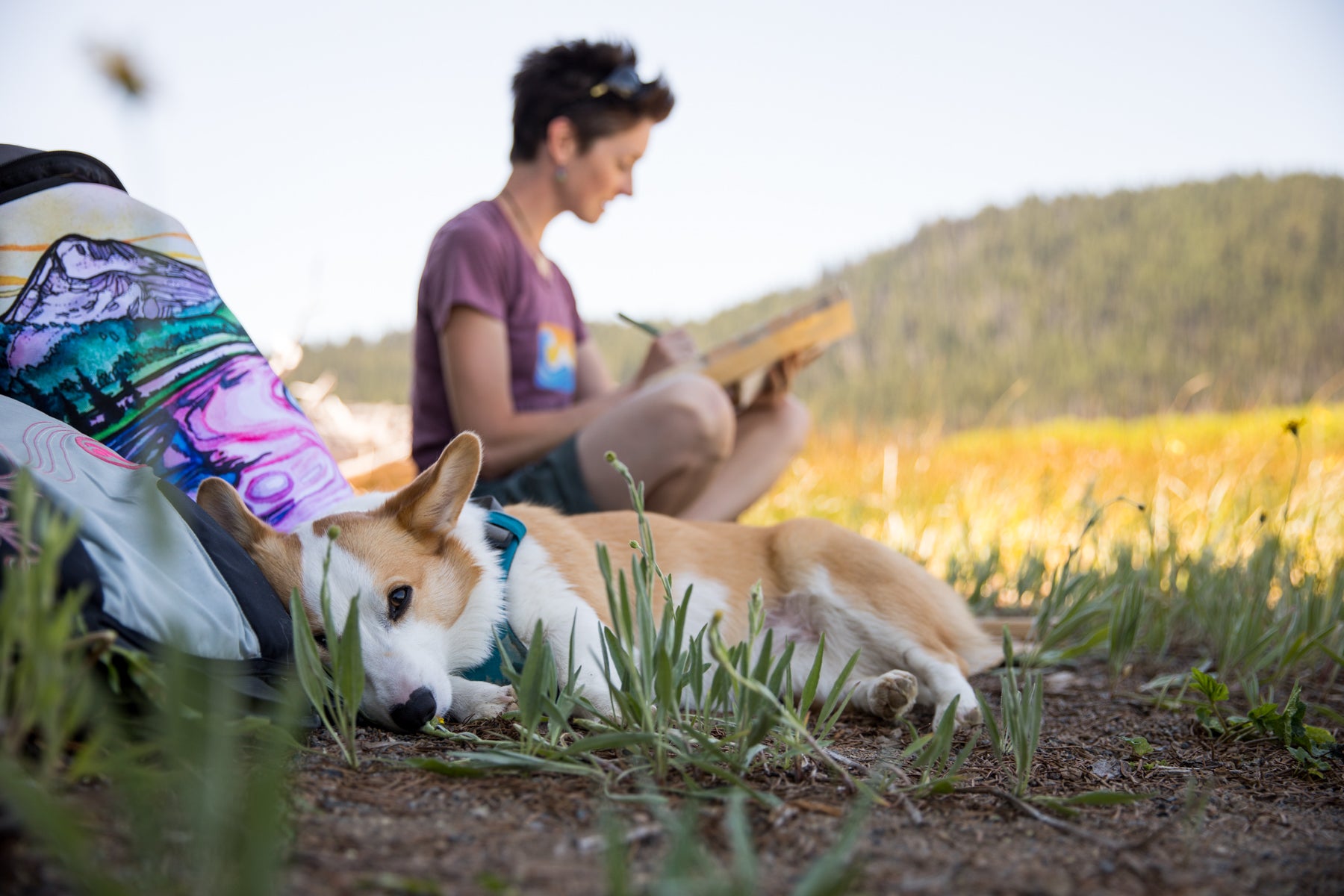 Nami naps on a pack with artwork on it while Christina paints behind her at Sparks Lake.